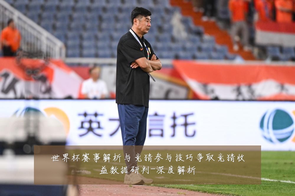 世界杯赛事解析与竞猜参与技巧争取竞猜收益数据研判-深度解析