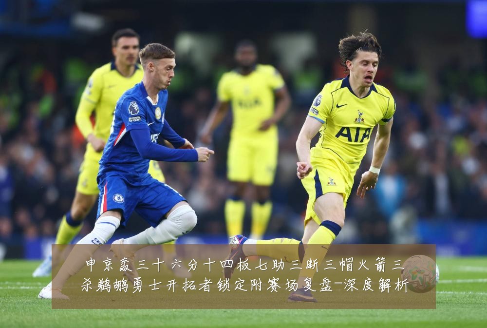 申京轰三十六分十四板七助三断三帽火箭三杀鹈鹕勇士开拓者锁定附赛场复盘-深度解析